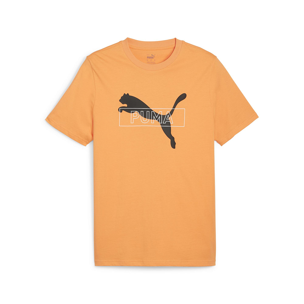 Мужская футболка PUMA DESERT ROAD Graphic Tee