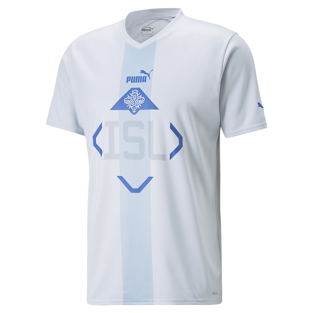 Мужская футболка PUMA